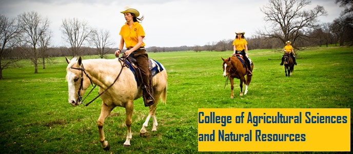 College of Ag Sciences & Natural Resourses