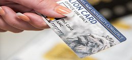 Lion Card Increase