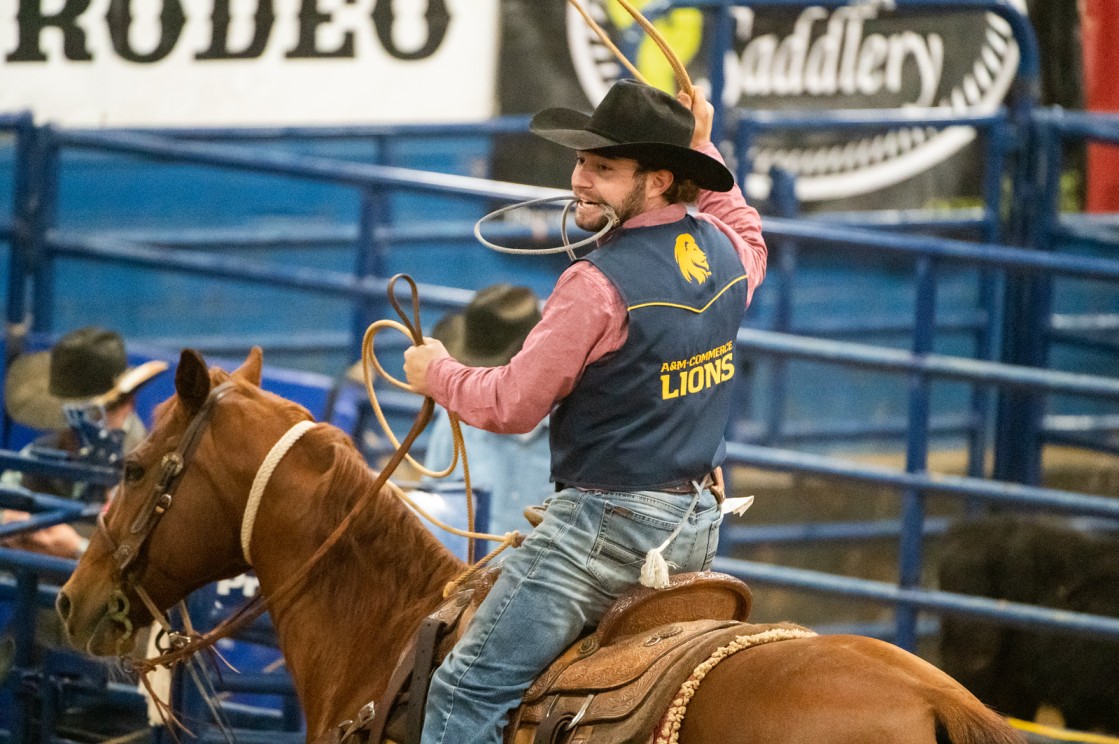 Rodeo