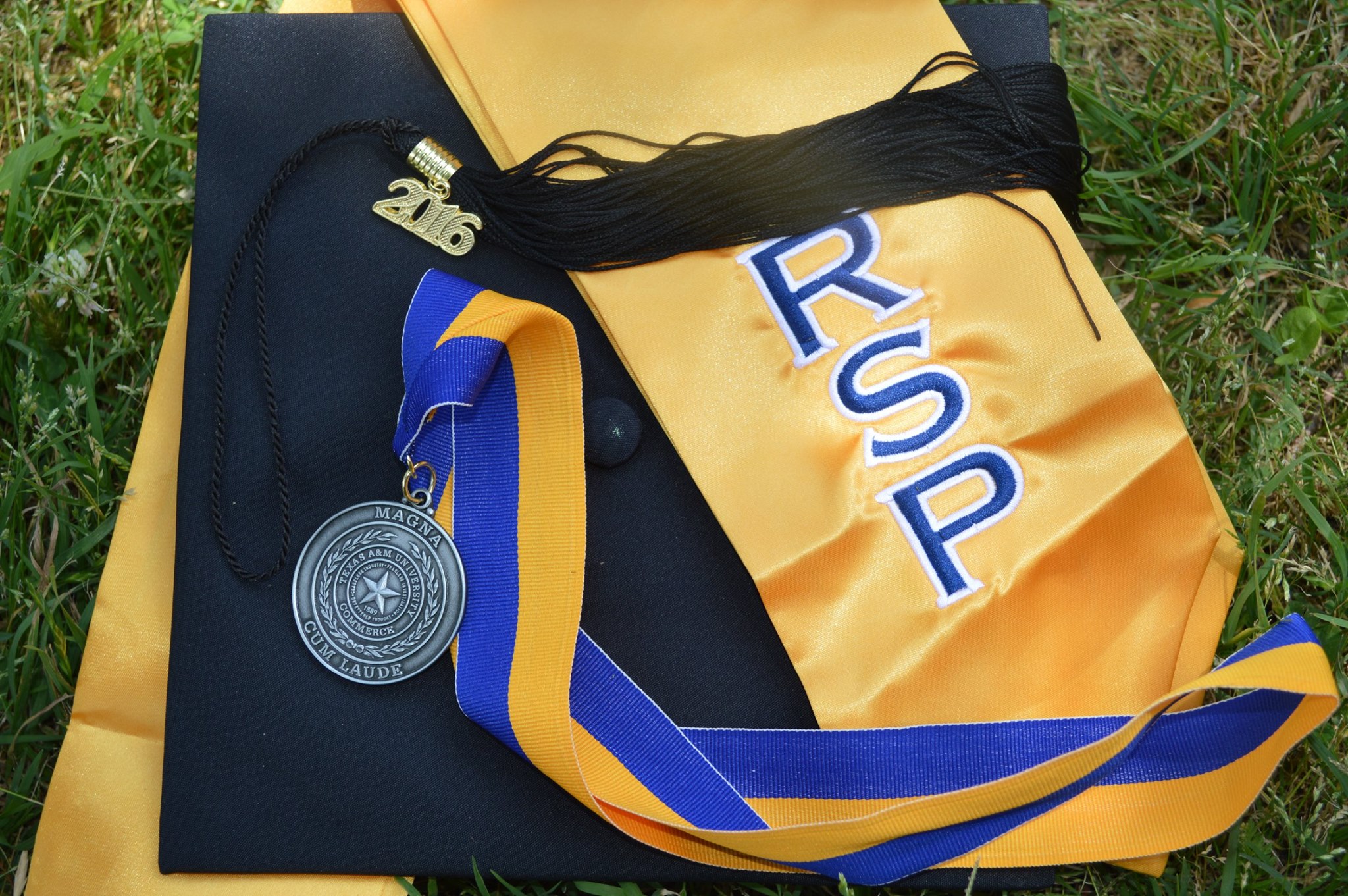 Regents Scholars Program