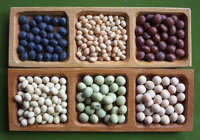 Soybean Variety Comparison